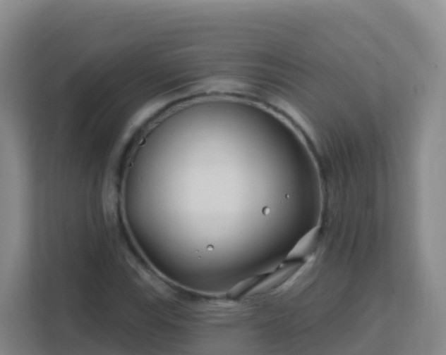 X0000111671115200907241206