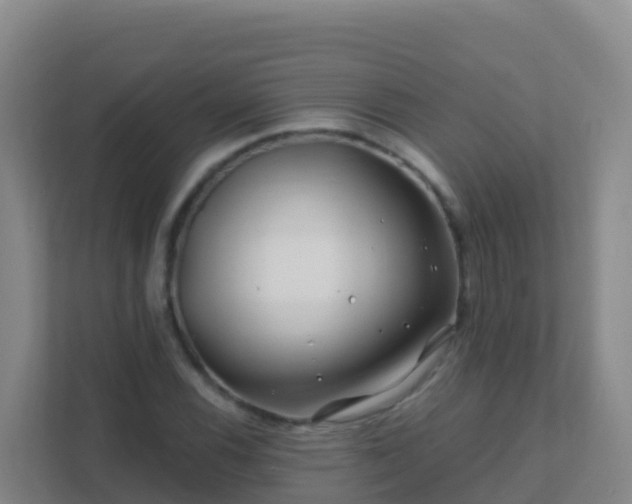 X0000111671116200907241206