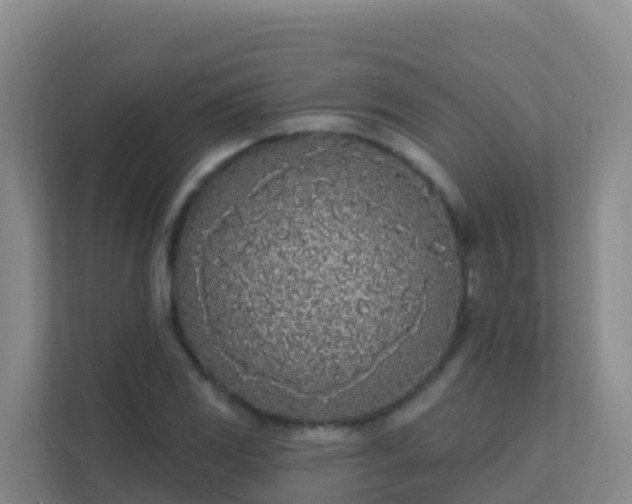 X0000111671117200907241207