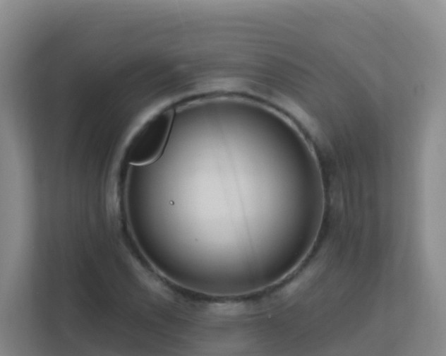 X0000111671118200907241207