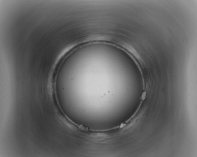 X0000111671119200907241207