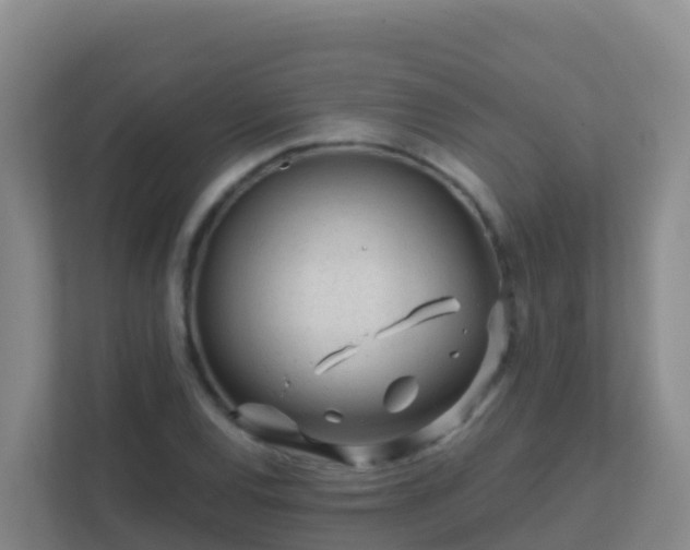 X0000111671120200907241207