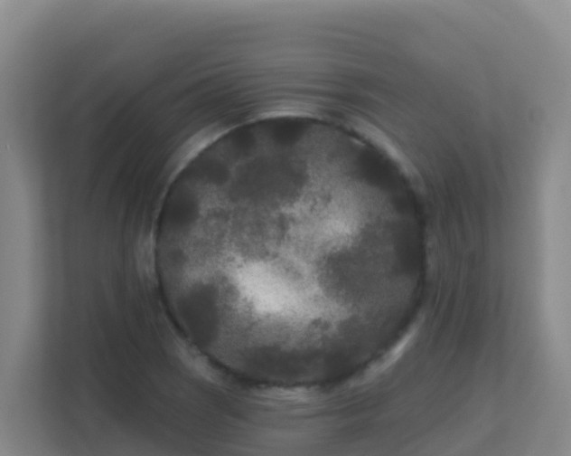 X0000111671121200907241207