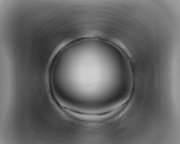 X0000111671122200907241207