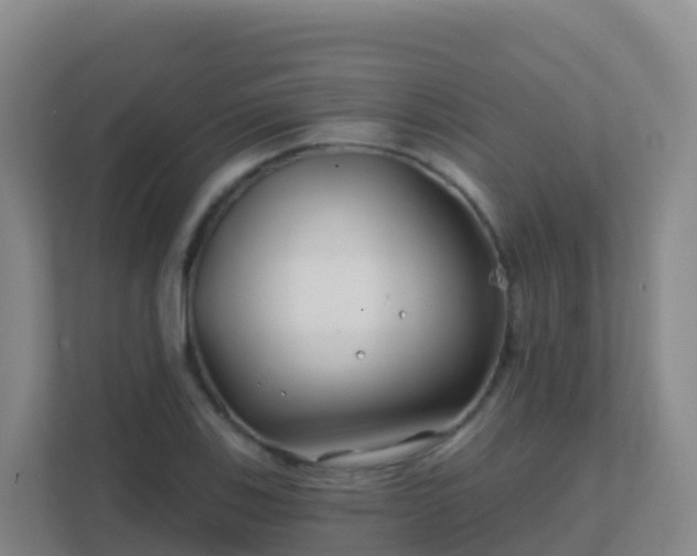 X0000111671123200907241207