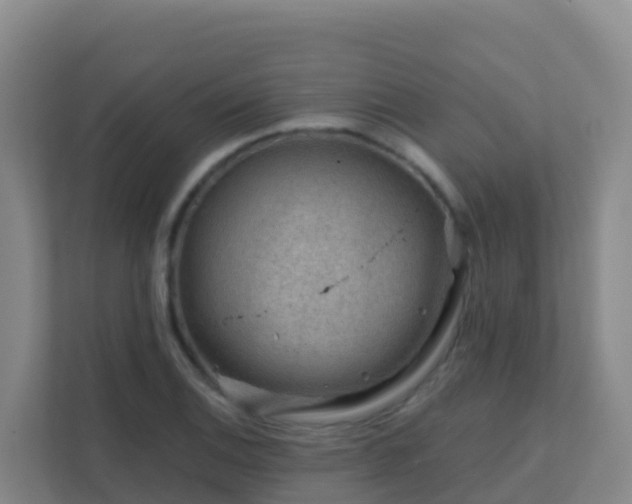 X0000111671124200907241207