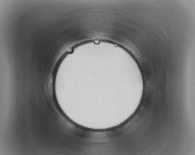 X0000111671126200907241207