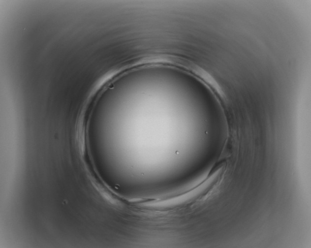 X0000111671127200907241207