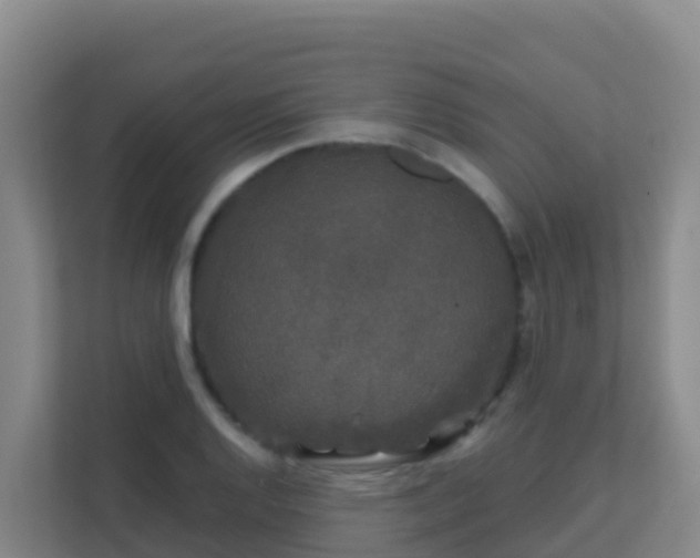 X0000111671128200907241207