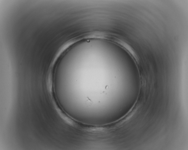 X0000111671131200907241207