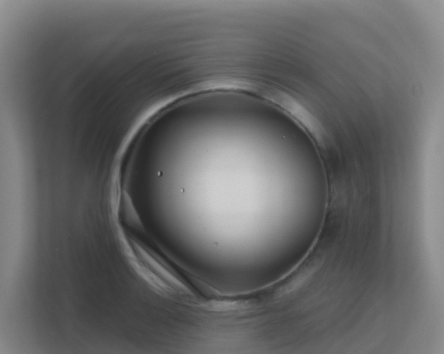 X0000111671132200907241207