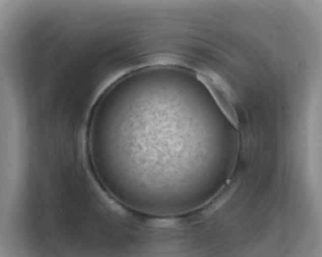 X0000111671134200907241207