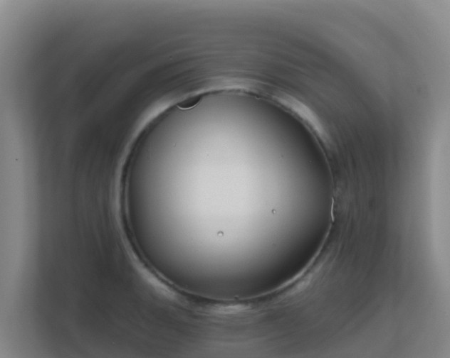 X0000111671135200907241207