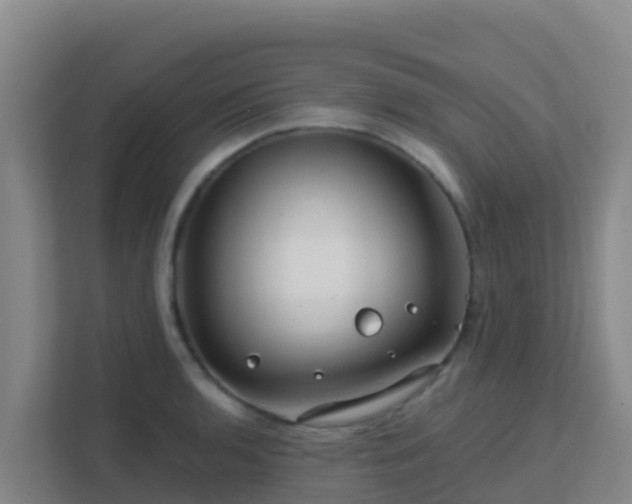 X0000111671136200907241207