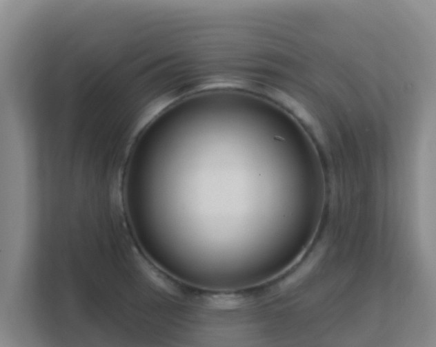 X0000111671137200907241207