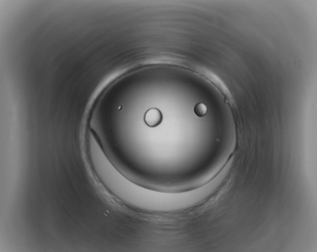 X0000111671138200907241207