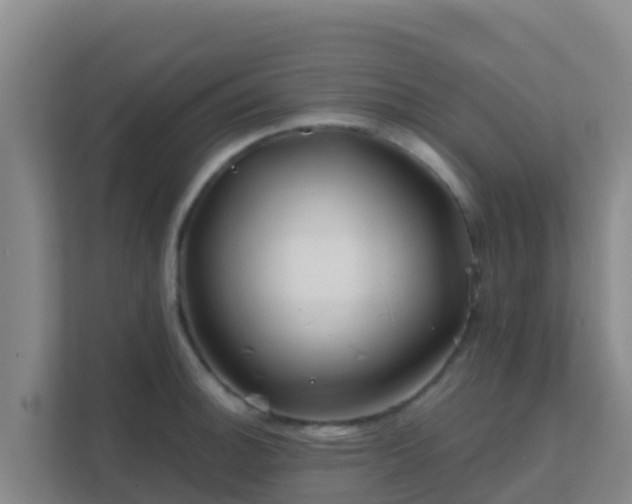 X0000111671140200907241207