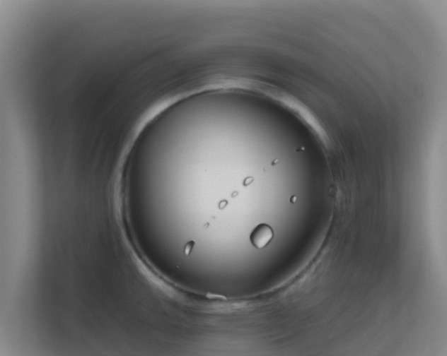 X0000111671143200907241207