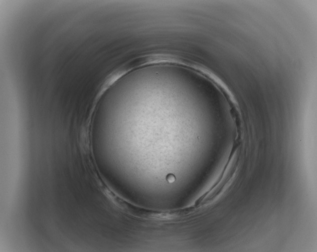 X0000111671145200907241207