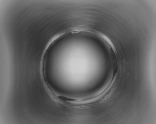 X0000111671146200907241207