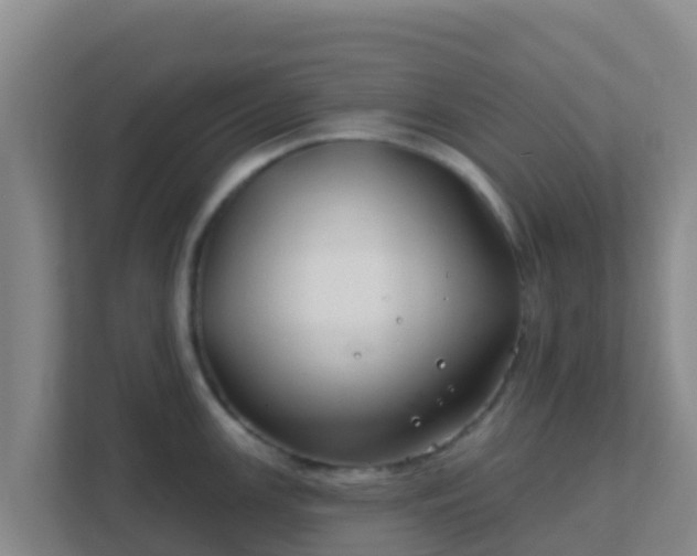 X0000111671147200907241207