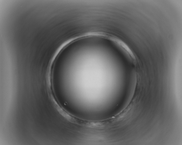 X0000111671148200907241207