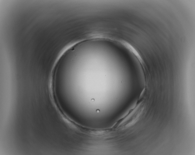 X0000111671149200907241207