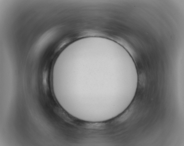 X0000111671150200907241207