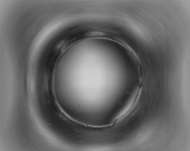 X0000111671151200907241207