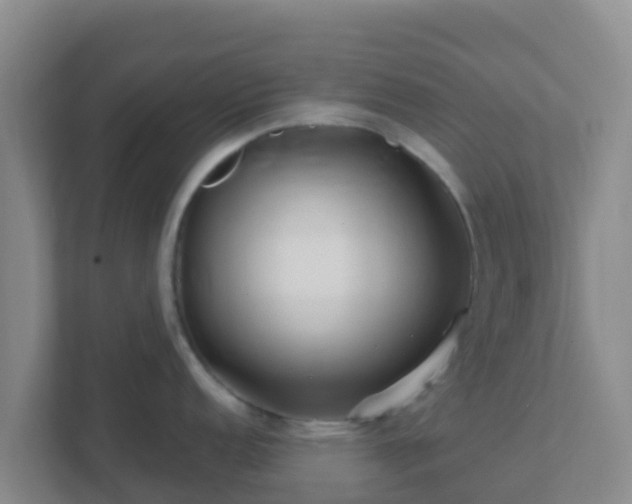 X0000111671152200907241207