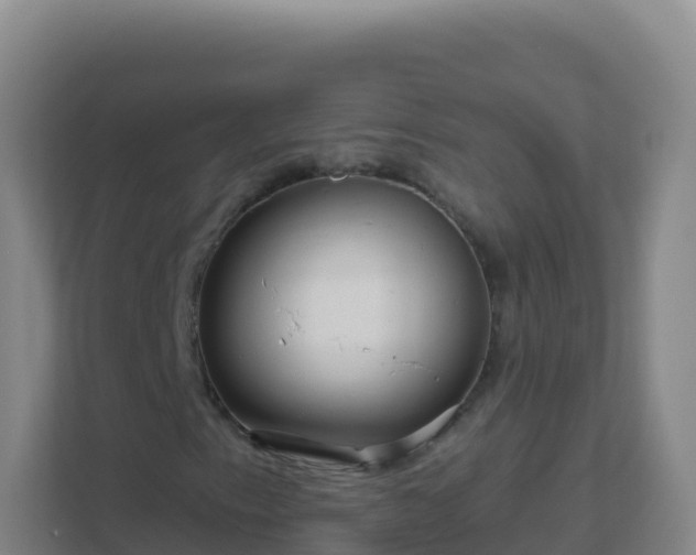 X0000111671153200907241206