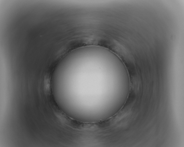 X0000111671154200907241206