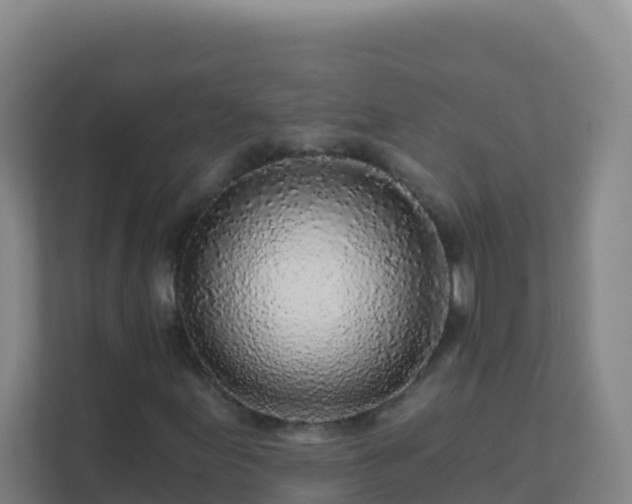 X0000111671155200907241206