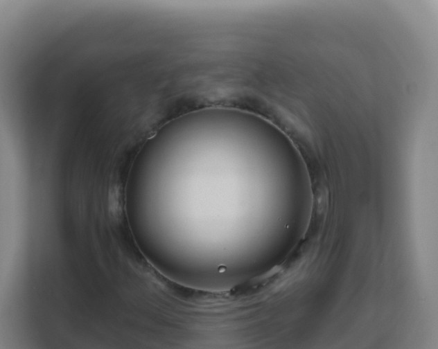 X0000111671156200907241206