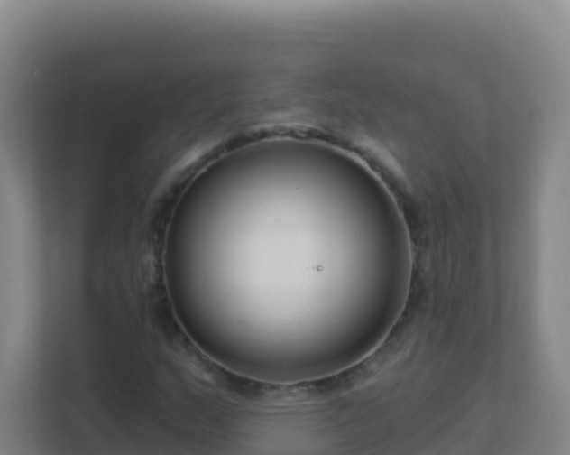 X0000111671159200907241206