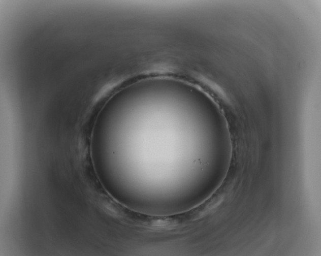 X0000111671160200907241206