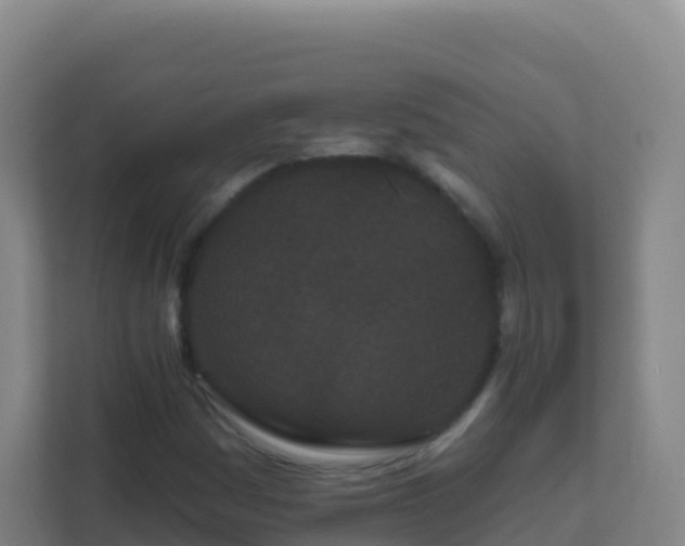 X0000111671161200907241206