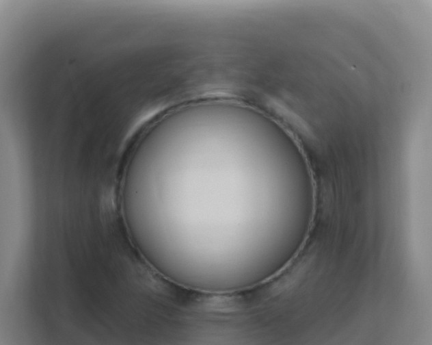 X0000111671166200907241206