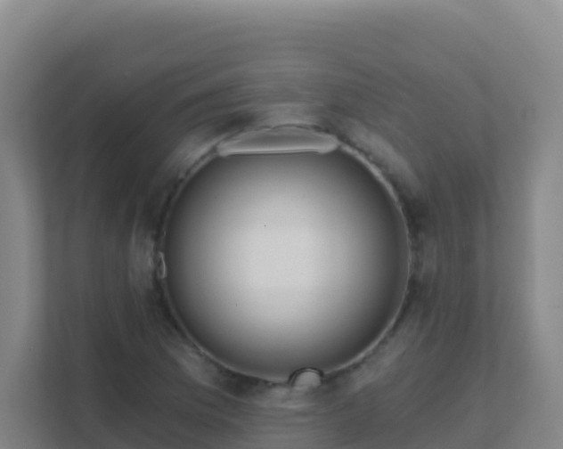 X0000111671169200907241206