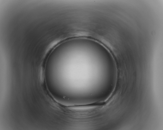 X0000111671171200907241206