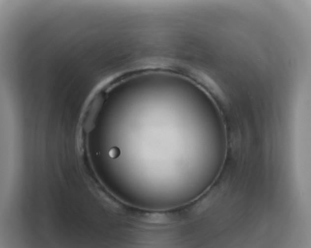 X0000111671172200907241206