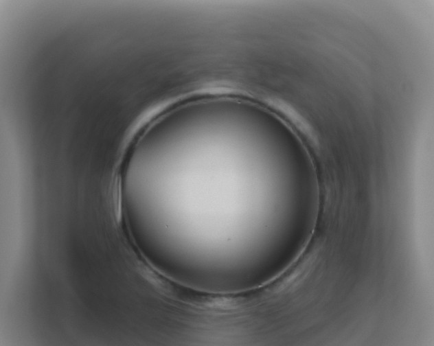 X0000111671175200907241206