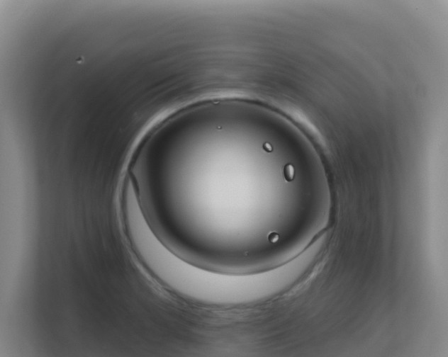 X0000111671181200907241206