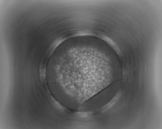 X0000111671185200907241206