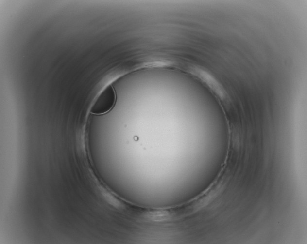 X0000111671186200907241206