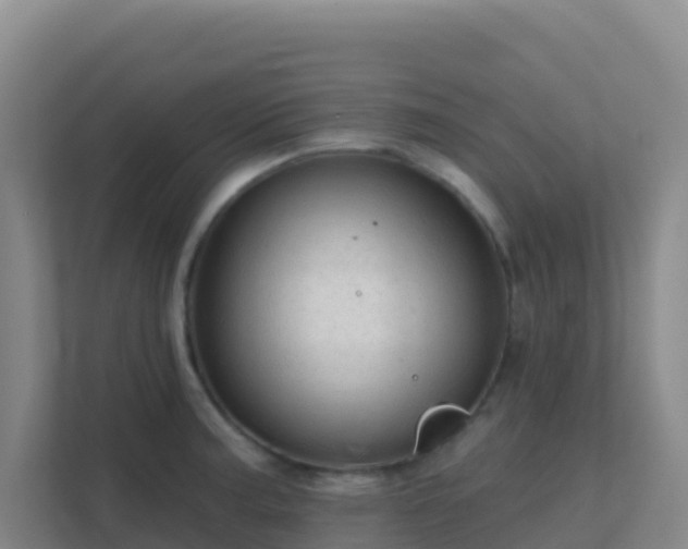 X0000111671187200907241206