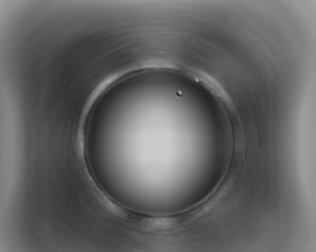 X0000111671188200907241206