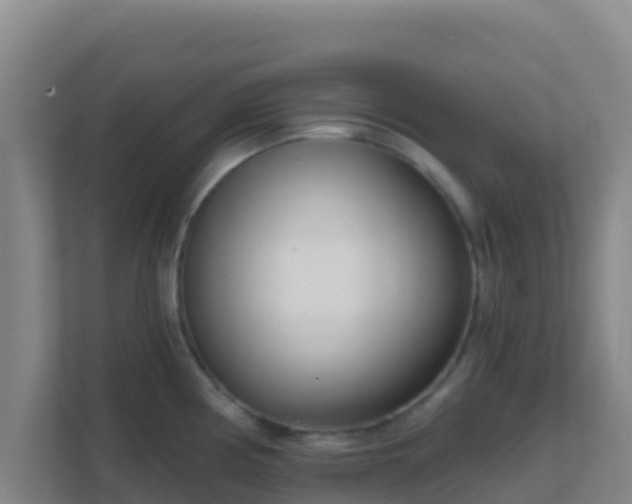 X0000111671194200907241206