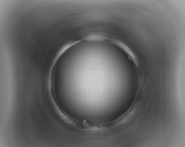 X0000111671195200907241206