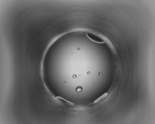 X0000111671199200907241206